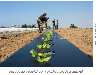 Consciência ambiental pode impulsionar bioplástico, que se ganhar escala reduz preço